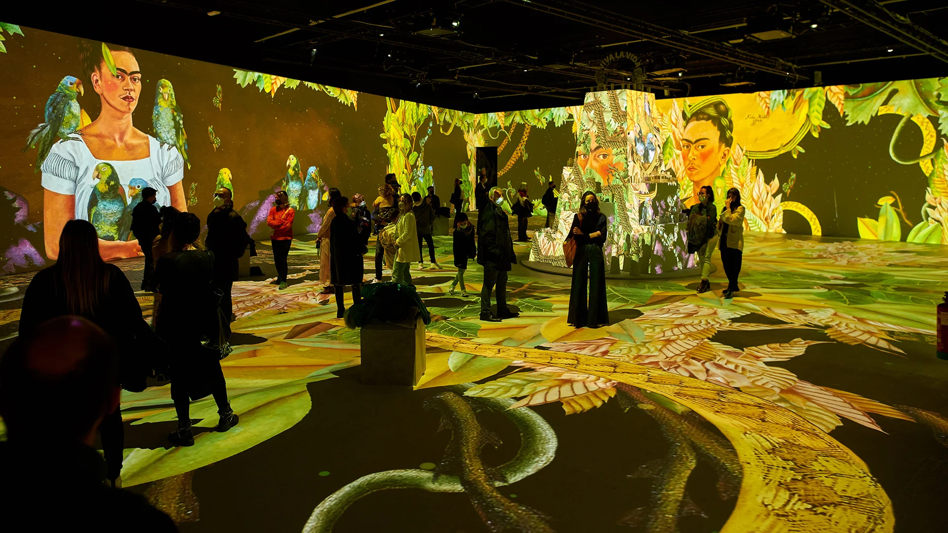 Museo Frida Kahlo celebra 70 años con exposición especial